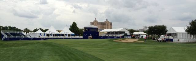 Savannah Bermuda Grass